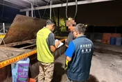 影/屏東偷餵廚餘被抓包！重罰80萬、扣補助豬隻禁上市
