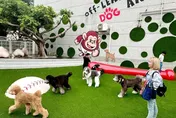 中職/桃園市府攜手樂天桃猿　全台首創球場寵物友善專區