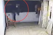 影/北市萬華蜘蛛人連續竊盜　失業廚師攀爬5樓外牆犯案