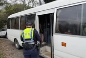 影/天送業績！苗栗警攔查違規中巴　逮獲22黑工準備採生薑
