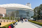 經典賽/大谷翔平效應！門票炒到10萬元　官方警告黃牛