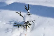 大雪12/7到！3生肖運勢洗牌　生肖虎偏財、事業都旺盛