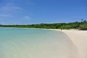 最低票價2800元　基隆-石垣島航線年底前開航