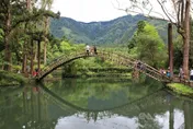 溪頭門票明年元旦起漲價　幅度最高達5成