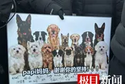 首例！北京「毛孩」連環毒殺案　惡男害死鄰居9狗一審判4年