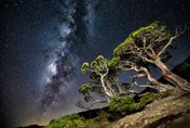 1小時150顆！雙子座流星雨歲末盛會　12/14合歡山追星去