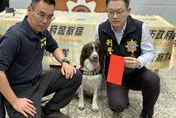 影/高雄毒販GPS埋包交易　緝毒犬可樂助挖出36萬毒品