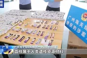 陸破獲特大走私孕婦血液產業鏈　10萬人份流境外、獲利1.3億