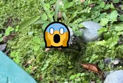 雜草堆冒出「三指斷手」！網嚇：快報警　竟是電線搞烏龍