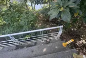 新店陽光橋下爆慘案！情侶倒臥「1死1命危」