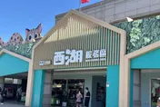 檢舉達人太狂！苗栗亂丟菸蒂案「獨拚74％業績」估獎金逾40.4萬