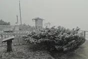 玉山北峰下雪成銀白世界　冷氣團發威低溫探-5.5℃