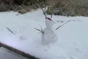 影/新達山也下雪了！今晨急凍-4度　民眾樂嗨堆雪人