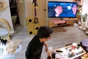 影/規模7強震！民眾在家狂搖　喵星人竄逃畫面曝光