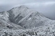 影/積雪逾20公分！雪霸國家公園幻化絕美銀白世界