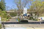 驚險一刻！東京多摩動物園狼隻脫逃4小時　遊客無人傷亡