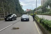 影/紅牌重機深坑山區撞獼猴　騎士慘摔骨折送醫