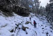 連2山友失溫喪命！雪管處：遇困難地形、天氣速撤退