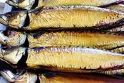 不是吃越多越好！營養師：天天吃鯖魚恐熱量爆表