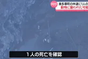 又熊襲？東京近郊林道驚見男屍「頭骨裸露、臟器缺失」疑遭啃食