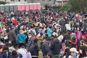影/紫南宮馬年錢母元旦10萬人搶領！彰化伯等14天奪頭香