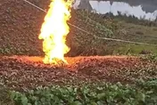 影/下雨也澆不熄！陸農地起怪火連燒3天不滅　疑天然氣外洩所致