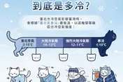 冷到發抖還不算寒流！　氣象署「貓咪圖解」一次看懂分級