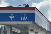 燃煤轉燃氣大計劃　中油：要讓白海豚和能源轉型共存