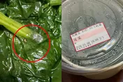 高雄鼎泰豐遭爆炒菠菜「送蝸牛+一坨土」　衛生局急查：未發現異物
