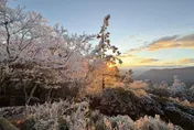 冷氣團急凍！太平山清晨驚現霧淞日出　宛如仙境