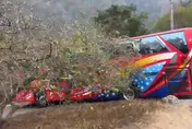 影/硬闖信義梅園！遊覽車彎道「卡住」　司機折樹引眾怒