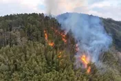 影/雲林「台版嵐山」森林大火day3！警消力阻延燒竹創生基地