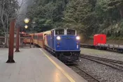 影/阿里山林鐵平交道遇違停　自小客駕駛恐遭吊銷駕照