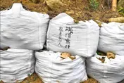 敬老票漲10元！南投溪頭園區遭「大量塗鴉」洩憤