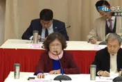 彈劾賴清德公聽會　前監委重砲轟總統「漠視雙少數政治現實」