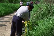 老Z調查線/苗栗人魔家暴女友致死　公墓溶屍潑酸毀容