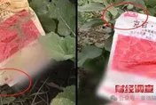 陸官媒踢爆多地菜商偷用「含毒農藥」　村民驚吐：不吃當地蔬菜