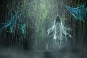 靈異錯別字/甩不掉！無臉女鬼從國小跟到高二　面對面重逢