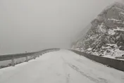 中橫化身「銀白世界」　鳶峰至大禹嶺限加掛雪鏈通行