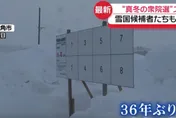日眾院選舉嚴寒陷苦戰！看板遭積雪「淹沒」、街頭演說沒人聽