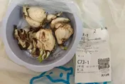 離譜！陸連鎖超市把「水仙」當百合出貨　祖孫食用中毒送醫搶救