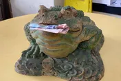 小動物吸財！老闆中百萬賞蟾蜍吃紅　Q萌店狗神助攻開貳獎