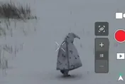 影/雪地裡假裝企鵝　俄兵穿「隱形斗篷」被無人機識破炸死