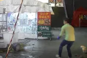 影/好心餵流浪貓！陸男躲過「天降奪命花盆」恐怖畫面曝光