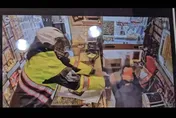 影/才辦防搶演練！桃園銀樓闆娘慘遭「警服狂徒」持榔頭狠尻