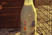 嘉南羊乳發聲明「挺行銷公司」　全網看傻：把羊編努力歸零