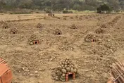 壯觀！苗栗通霄230座焢窯　遭網友誤認「小型墳塚」