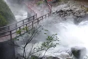 過年走春！杉林溪森林生態渡假園區、清境農場療癒身心
