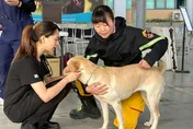 搜救犬IRO評量登場！　26組隊伍角逐「高級冠軍」出賽世界盃