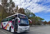 國光客運系統故障！暫停LINE訂票、網路訂票　拚6月底修復